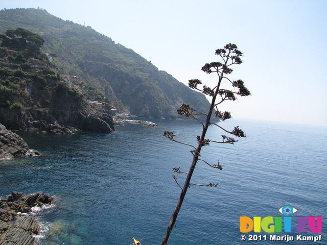 SX19541 Looking back to Riomaggiore, Cinque Terre, Italy